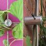 BLIKA 20 Pcs Green Wall Stainless Steel Hubs, Wire Trellis Kits for Climbing Plants, Vines and Green Wall, for 1/8'' Wire Rope Cable