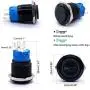 Taiss 12V 19mm Car Horn Speaker Momentary Push Button Switch 1NO 1NC SPDT Green Led Light 3/4'' Mounting Hole Raised Black Metal Toggle Switch For Car Boat Speakers Bells Modification G19LB-BK-G Taiss 12V 19mm Car Horn Speaker Momentary Push Button Switch 1NO 1NC SPDT Green Led Light 3/4'' Mounting Hole Raised Black Metal Toggle Switch For Car Boat Speakers Bells Modification G19LB-BK-G