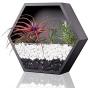 Ecosides Mixed 3 Iron Honeycomb Wall Planter Indoor, Hexagon Wall Hanging Planter, Geometric Terrarium, Wall Vase Florarium, Metal Planter for Wall Decor, Hanging Terrarium (Black)