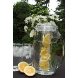 Prodyne Fruit Infusion Flavor Pitcher, 2.9 qt clear, 93 oz