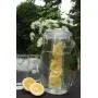 Prodyne Fruit Infusion Flavor Pitcher, 2.9 qt clear, 93 oz Prodyne Fruit Infusion Flavor Pitcher, 2.9 qt clear, 93 oz