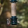 Squirrel Buster Plus Squirrel-proof Bird Feeder w/Cardinal Ring and 6 Feeding Ports, 5.1-pound Seed Capacity, Adjustable, Pole-mountable (POLE ADAPTOR SOLD SEPARATELY), Green