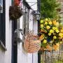 Yarnow Wall Plant Bracket Hanging Planter Hook Wall Mounted Flower Pot Bird Feeder Wind Chime Lanterns Hanger Plant Pot Basket for Indoor Outdoor Decorations 8PCS Yarnow Wall Plant Bracket Hanging Planter Hook Wall Mounted Flower Pot Bird Feeder Wind Chime Lanterns Hanger Plant Pot Basket for Indoor Outdoor Decorations 8PCS