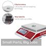 American Fristaden Lab Industrial Counting Scale | Count and Weight Small Parts and Coins in Seconds | 15kg Capacity and 0.5g Accuracy | Gram Scale | 1YR Warranty