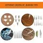 Wood Burning Kit, PETUOL 110PCS Wood Burning Tool with Adjustable Temperature 200~420°C, Professional Pyrography Pen for Embossing/Carving/Soldering