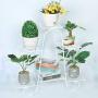 CarolynDesign 6 Tier Plant Stands for Indoors and Outdoors, Flower Pot Holder Shelf for Multi Plants, White Metal Plant Stand for Patio, L31.5 x H29.13 x W8.27in