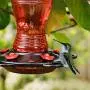 Juegoal Glass Hummingbird Feeders for Outdoors, 26 oz Wild Bird Feeder with 5 Feeding Ports, Metal Handle Hanging for Garden Tree Yard Outside Decoration, Red Juegoal Glass Hummingbird Feeders for Outdoors, 26 oz Wild Bird Feeder with 5 Feeding Ports, Metal Handle Hanging for Garden Tree Yard Outside Decoration, Red