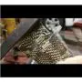 Stainless Steel Zip Ties Exhaust Wrap, TAKSDAI 100pcs 11.8'' Metal Locking Wrap Ties Straps Header Wrap Exhaust Wrapping