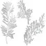 Cutting Dies Metal, Christmas Die Cut Metal, Gift Ornamental Grass Embossing Stencils for DIY Scrapbooking Photo Album Decorative DIY Paper Cards Making Gift, Metallic Die Cut Cutting Dies Metal, Christmas Die Cut Metal, Gift Ornamental Grass Embossing Stencils for DIY Scrapbooking Photo Album Decorative DIY Paper Cards Making Gift, Metallic Die Cut