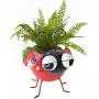 GIFTME 5 Metal Ladybug Flower Planter Garden Pot for Plants Indoor or Outdoor Decorations,7.5Inch GIFTME 5 Metal Ladybug Flower Planter Garden Pot for Plants Indoor or Outdoor Decorations,7.5Inch