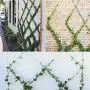 BLIKA 20 Pcs Green Wall Stainless Steel Hubs, Wire Trellis Kits for Climbing Plants, Vines and Green Wall, for 1/8'' Wire Rope Cable BLIKA 20 Pcs Green Wall Stainless Steel Hubs, Wire Trellis Kits for Climbing Plants, Vines and Green Wall, for 1/8'' Wire Rope Cable