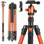 MACTREM Professional Camera Tripod with Phone Mount, 62'' DSLR Tripod for Travel, Super Lightweight and Reliable Stability, Ball Head Tripod Detachable Monopod with Carry Bag (Orange)