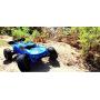 Redcat Racing Piranha-TR-10 Piranha Tr10 Truggy, Blue (Amazon Exclusive)