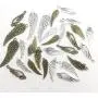 Wings Charm Collection-about 55pcs Craft Supplies wing Charms Pendants by pair for Crafting, Jewelry Findings Making Accessory For DIY Necklace Bracelet Earrings (M083) Wings Charm Collection-about 55pcs Craft Supplies wing Charms Pendants by pair for Crafting, Jewelry Findings Making Accessory For DIY Necklace Bracelet Earrings (M083)