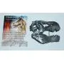 Dinosaur Skull Metal Belt Buckle T-Rex Tyrannosaurus for Fossil Lover!! #417 4o Dinosaur Skull Metal Belt Buckle T-Rex Tyrannosaurus for Fossil Lover!! #417 4o