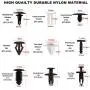 ROLINGER Auto Clips Car Vent Body Clips Retainer Push Kit - 421PCS Car Panel Trim Plastic Fasteners Rivet Kits Universal for Ford GM Toyota Honda Chrysler(Not Include Plastic Box) ROLINGER Auto Clips Car Vent Body Clips Retainer Push Kit - 421PCS Car Panel Trim Plastic Fasteners Rivet Kits Universal for Ford GM Toyota Honda Chrysler(Not Include Plastic Box)