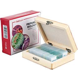 AmScope PS25 Prepared Microscope Slide Set for Basic Biological Science Education, 25 Slides, Includes Fitted Wooden Case Brown