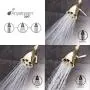 Speakman S-2252-PB Signature Brass Icon Anystream High Pressure Adjustable Shower Head, Polished Brass Speakman S-2252-PB Signature Brass Icon Anystream High Pressure Adjustable Shower Head, Polished Brass