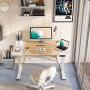 FEZIBO Dual Motor Height Adjustable Electric Standing Desk, 48 x 24 Inch Full Sit Stand Home Office Table with Splice Board, White Frame/White and Natural Top
