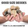 NATIONAL GEOGRAPHIC Break Open 10 Premium Geodes – Includes Goggles, Detailed Learning Guide & 2 Display Stands - Great STEM Science Gift for Mineralogy & Geology Enthusiasts of Any Age