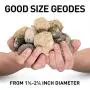 NATIONAL GEOGRAPHIC Break Open 10 Premium Geodes – Includes Goggles, Detailed Learning Guide & 2 Display Stands - Great STEM Science Gift for Mineralogy & Geology Enthusiasts of Any Age NATIONAL GEOGRAPHIC Break Open 10 Premium Geodes – Includes Goggles, Detailed Learning Guide & 2 Display Stands - Great STEM Science Gift for Mineralogy & Geology Enthusiasts of Any Age