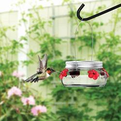 Natures Way Bird Products MJF1 Natures Way Mason Jar Hummingbird Dish Feeder, Clear