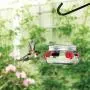 Natures Way Bird Products MJF1 Natures Way Mason Jar Hummingbird Dish Feeder, Clear Natures Way Bird Products MJF1 Natures Way Mason Jar Hummingbird Dish Feeder, Clear
