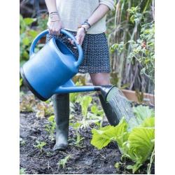 Gardeners Supply Company French Blue Watering Can Holds 3 Gallons