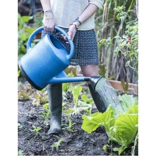 Gardeners Supply Company French Blue Watering Can Holds 3 Gallons Gardeners Supply Company French Blue Watering Can Holds 3 Gallons