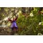 Desert Steel Hummingbird Feeder - (Fuchsia - 12”W x 18”H) - All-Weather Outdoor Metal Garden Art Flower Bird Feeder
