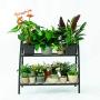 C-Hopetree Metal Plant Stand - Indoor Outdoor Pot Rack-2 Shelf