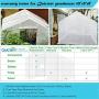 Quictent 10x9x8 ft Portable Tunnel Greenhouse for Outdoors 2 Zipper Mesh Doors Large Walk-in Garden Plant Greenhouse with 12 Stakes