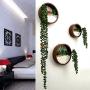 SHES HOME Morden Round Indoor Wall Succulent Hanging Planter, Metal Decorative Freestanding Mount Holder with Glass (Dark-Brown)