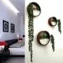 SHES HOME Morden Round Indoor Wall Succulent Hanging Planter, Metal Decorative Freestanding Mount Holder with Glass (Dark-Brown) SHES HOME Morden Round Indoor Wall Succulent Hanging Planter, Metal Decorative Freestanding Mount Holder with Glass (Dark-Brown)