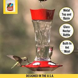 More Birds Twist Hummingbird Feeder, Glass Bottle, 5 Feeding Ports, 11-Ounce Nectar Capacity