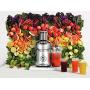 Breville BJE830BSS Juice Founatin Cold XL Centrifugal Juicer, Brushed Stainless Steel