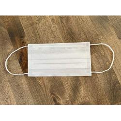 WMS 4-Layer Face Masks, Wisconsin Medical Supplies, MADE IN USA, 1 Pack (50 PCs)