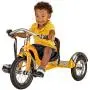 Schwinn Roadster Tricycle for Toddlers and Kids Schwinn Roadster Tricycle for Toddlers and Kids