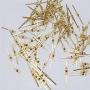 Waltz&F 33mm 300pcs Chandelier Connectors Clips Pins for Fastening Crystals Parts, Chandelier Replacements (Gold, 33mm)
