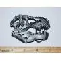 Dinosaur Skull Metal Belt Buckle T-Rex Tyrannosaurus for Fossil Lover!! #417 4o Dinosaur Skull Metal Belt Buckle T-Rex Tyrannosaurus for Fossil Lover!! #417 4o