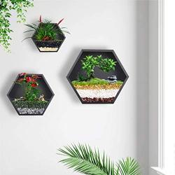 Ecosides Mixed 3 Iron Honeycomb Wall Planter Indoor, Hexagon Wall Hanging Planter, Geometric Terrarium, Wall Vase Florarium, Metal Planter for Wall Decor, Hanging Terrarium (Black)