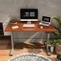 Flexispot Electric Standing Desk Height Adjustable Stand Up Desk with Memory Controller Ergonomic Workstation with Desktop 42 x 24 Inches Home Office (Gray Frame + Mahogany Top)