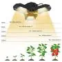 LED Grow Light Bulb,NATHOME Sunlike Full Spectrum Grow Lights/50W 144 LEDs/deformable Lighting Area, for Indoor Plants Veg and Bloom, Plant Growing Lamps (50W)