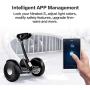 Segway Ninebot S Smart Self-Balancing Electric Scooter with LED light, Portable and Powerful, White and Black