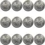 12 Piece Metal Blazer Button Set - for Blazer, Suits, Sport Coat, Uniform, Jacket 25mm(Silver) 12 Piece Metal Blazer Button Set - for Blazer, Suits, Sport Coat, Uniform, Jacket 25mm(Silver)