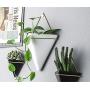 DENOME Geometric Wall Decor Containers Geometric Hanging Planter Vase Wall Planters Hanging Planter Succulent Planter with Metal Frame for Succulent Plants Air Plant (Black)