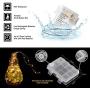 Koxly 2 Pack 20ft 60 Led Fairy Lights with Remote Timer Waterproof Christmas Decor Battery Operated Twinkle Firefly Lights for Bedroom, Garden, Easter, Party, Christmas Indoor and Outdoor Decorations