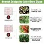 Phlizon CREE COB 3000W LED Plant Grow Light Full Spectrum Indoor Plants Light Growing Veg Flower CREE COB Grow Light with Monitor Adjustable Rope -3000W (Actual Power 600watt)