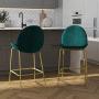 CosmoLiving by Cosmopolitan Astor Upholstered Counter Stool Green Velvet with Brass Metal Leg