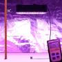 Plant Grow Light, VIPARSPECTRA Newest Dimmable 600W LED Grow Light, with Daisy Chain, Dual Chips Full Spectrum LED Grow Lamp for Hydroponic Indoor Plants Veg and Flower(10W LEDs 60Pcs)